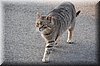 DSC_8716.JPG