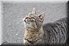 DSC_8717.JPG