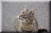 DSC_8719.JPG