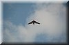 DSC_8742.JPG