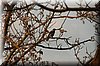 DSC_8747.JPG