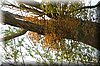 DSC_8752.JPG