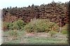DSC_8764.jpg