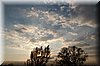 DSC_8766.jpg