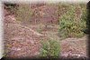 DSC_8771.JPG