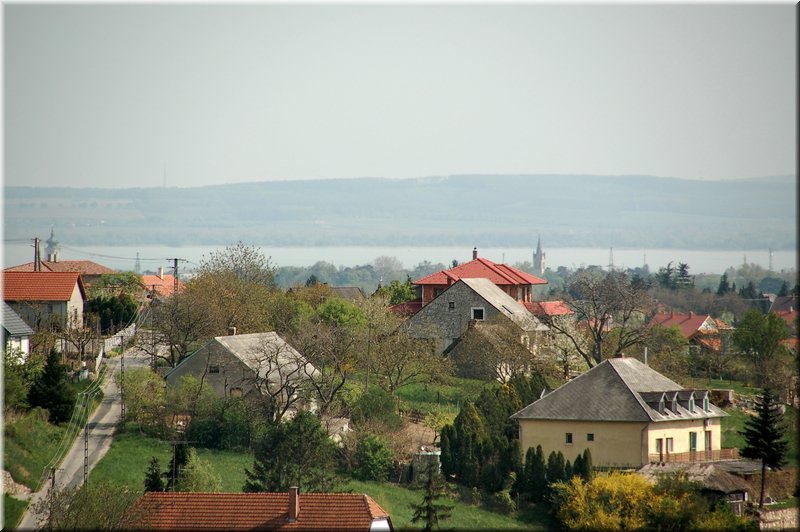 DSC_8813.jpg