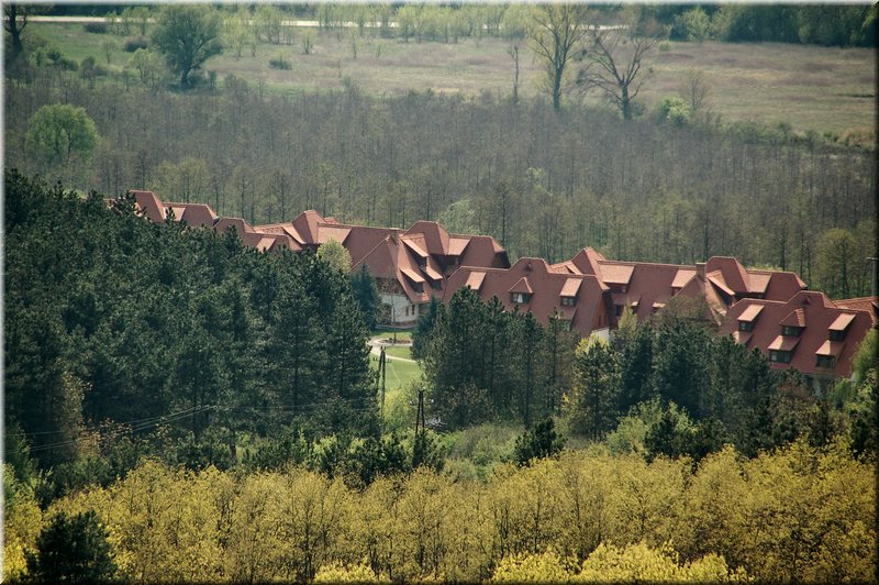 DSC_8815.jpg