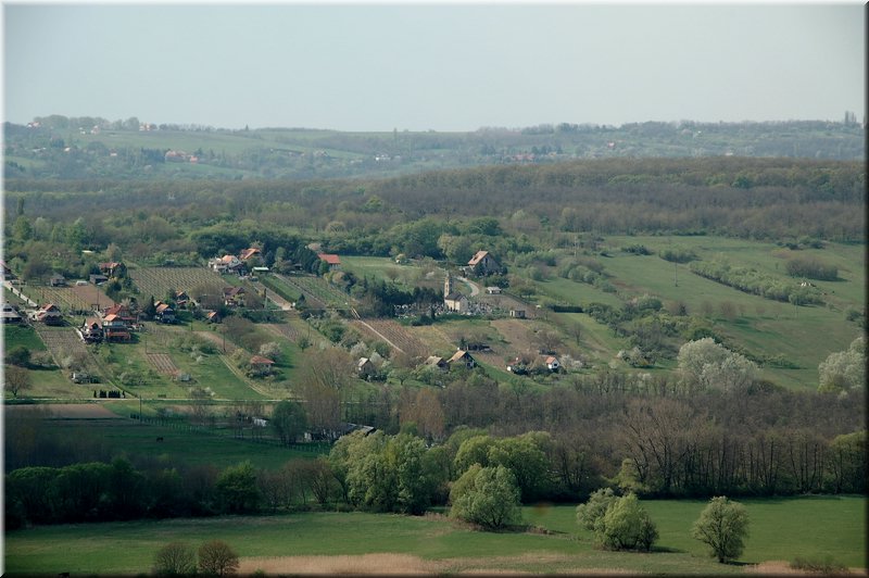 DSC_8823.jpg