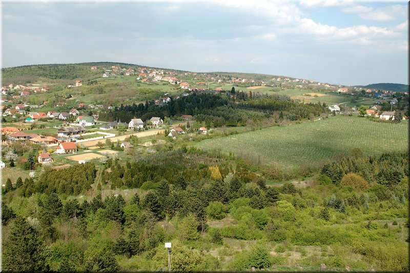 DSC_8825.jpg