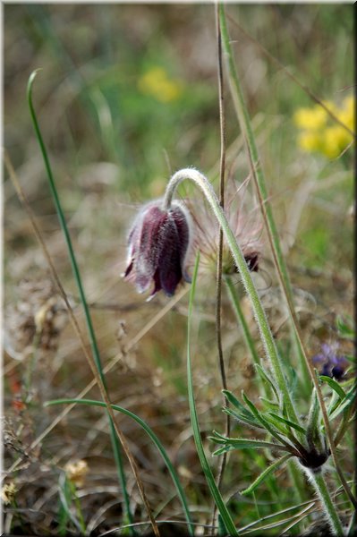 DSC_8845.jpg