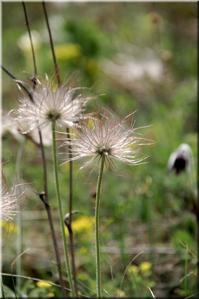 DSC_8850.jpg