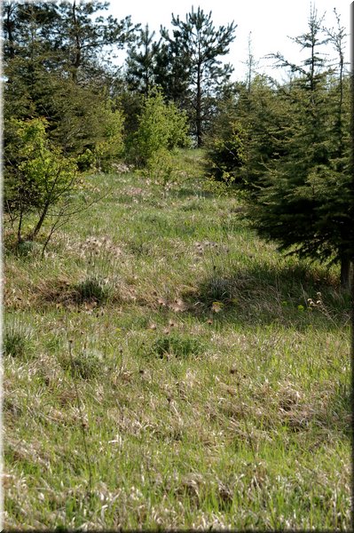 DSC_8866.jpg