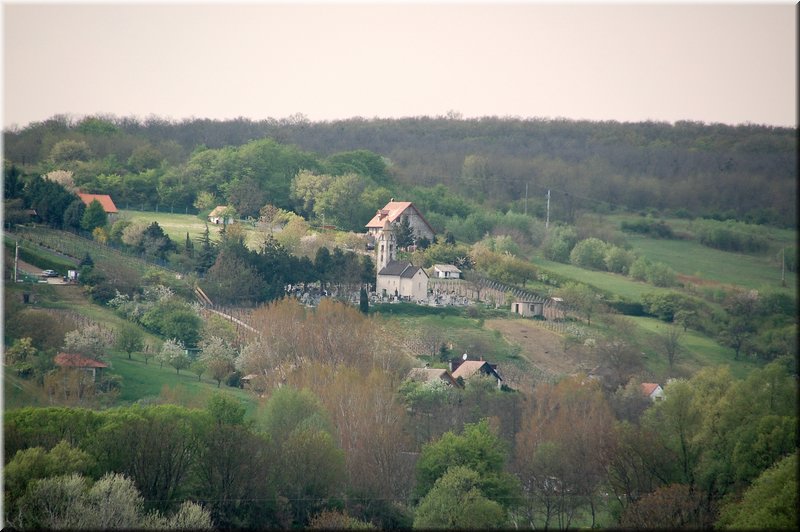 DSC_8878.jpg