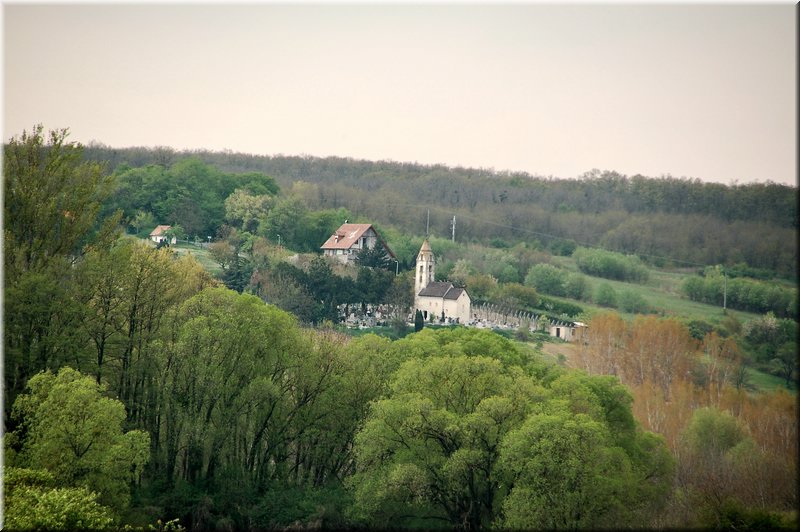 DSC_8886.jpg
