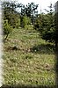 DSC_8866.jpg