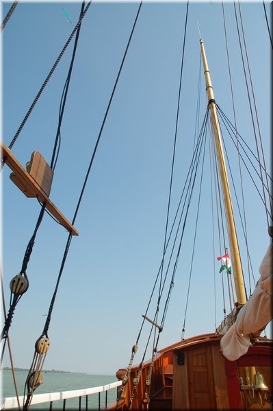 DSC_8903.JPG