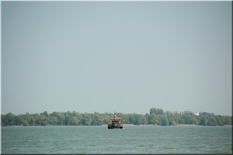 DSC_8904.jpg