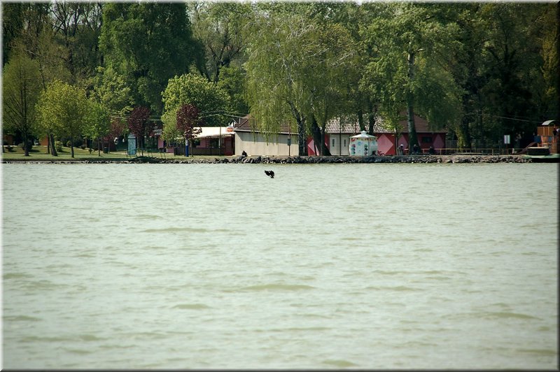 DSC_8921.jpg