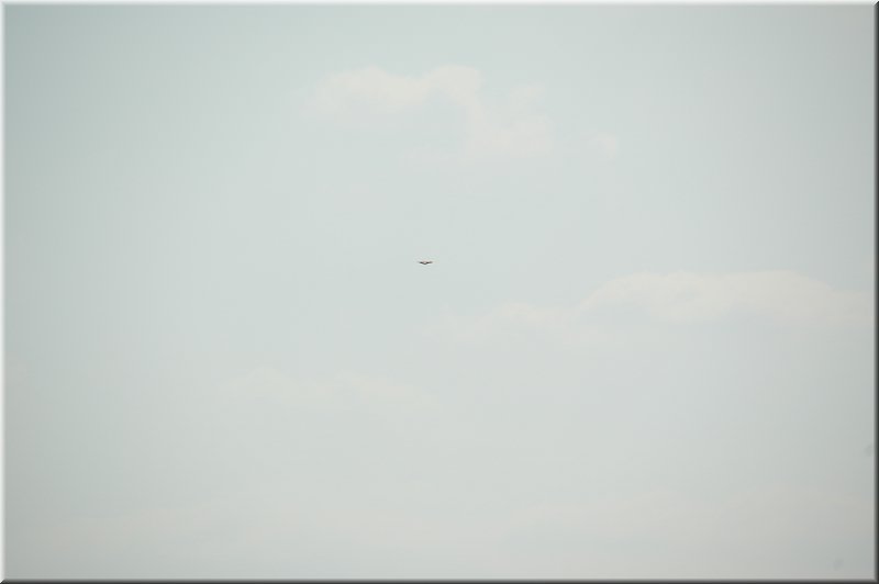 DSC_8929.JPG