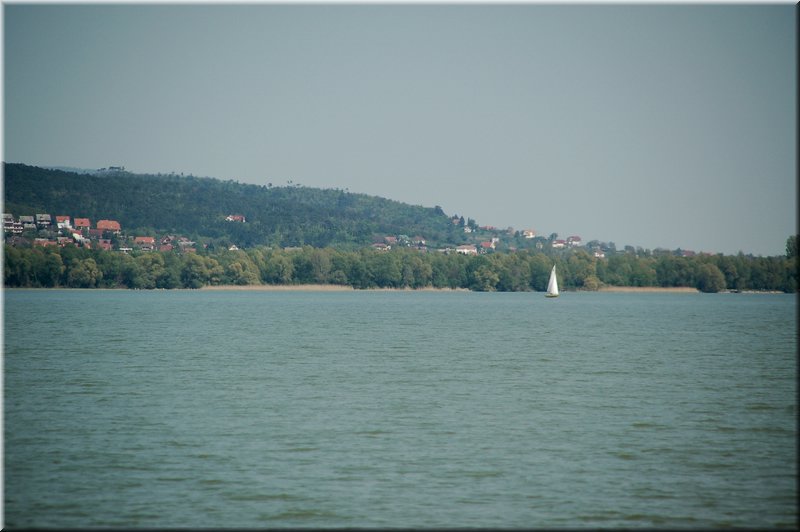 DSC_8932.jpg