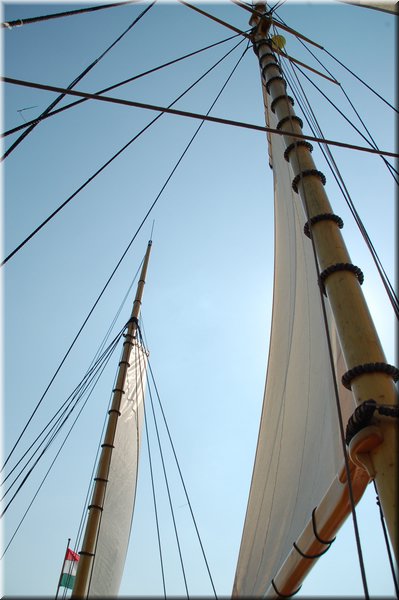 DSC_8939.JPG