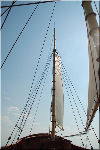 DSC_8940.JPG
