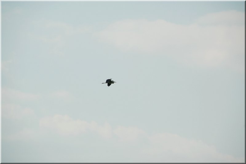 DSC_8943.jpg