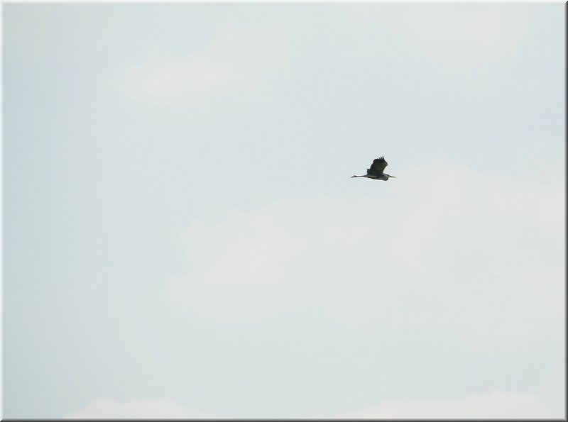 DSC_8944.jpg