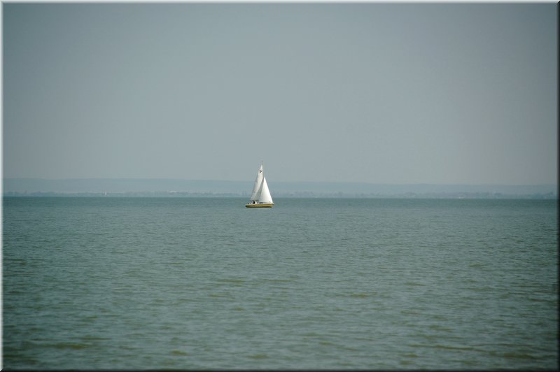 DSC_8946.jpg