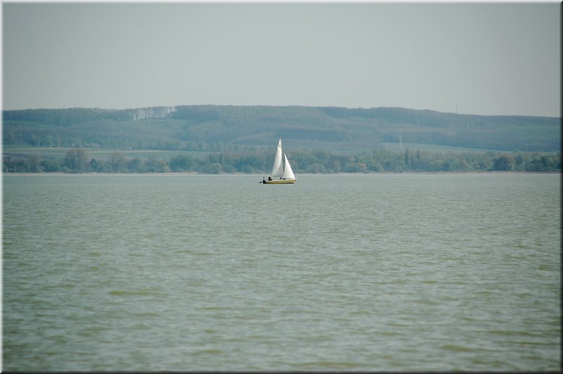 DSC_8956.jpg