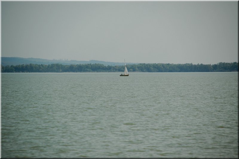 DSC_8957.jpg
