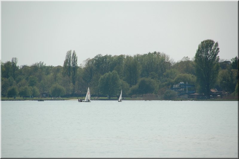 DSC_8959.jpg