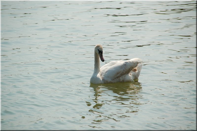 DSC_8964.JPG