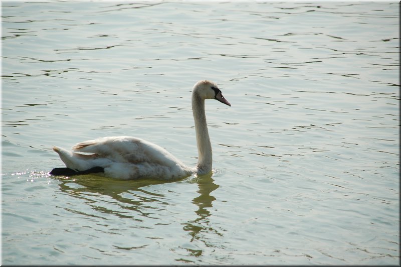 DSC_8965.JPG