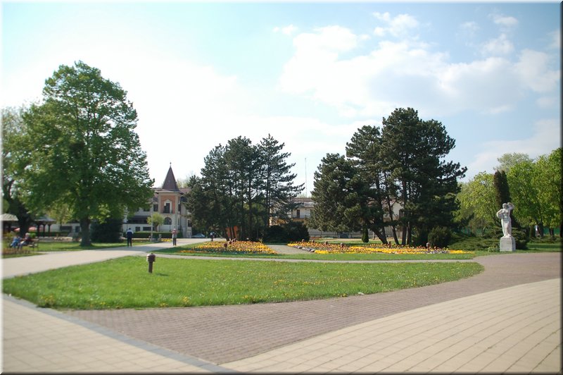 DSC_8973.jpg