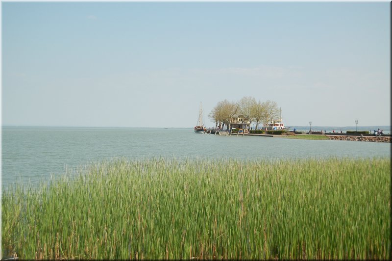 DSC_8976.JPG