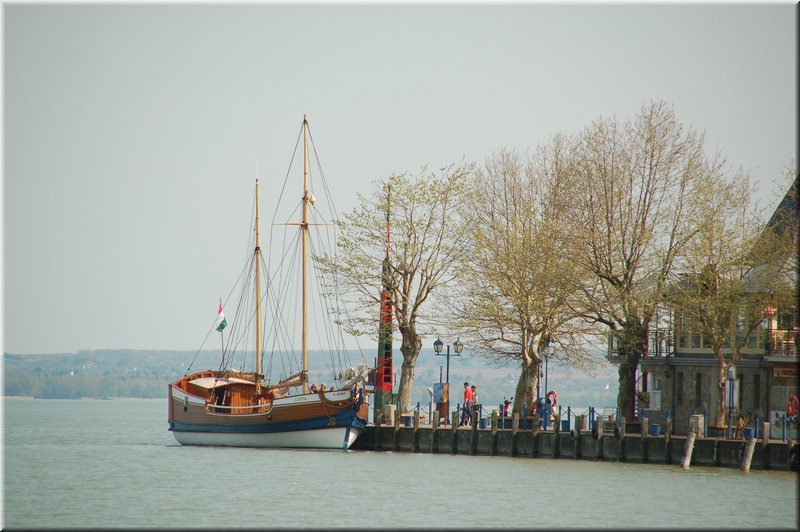 DSC_8979.JPG
