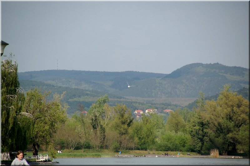 DSC_9003.jpg