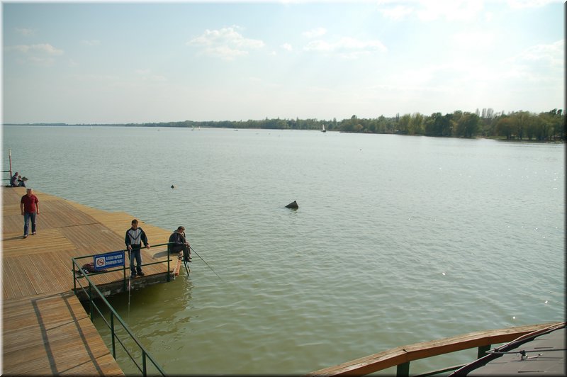 DSC_9025.JPG