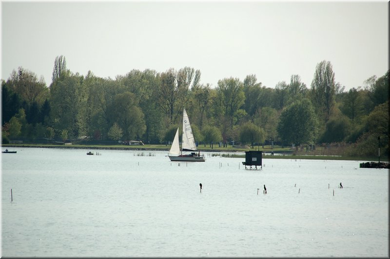 DSC_9026.jpg