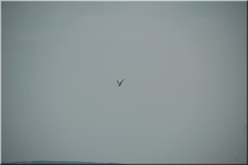 DSC_9027.jpg