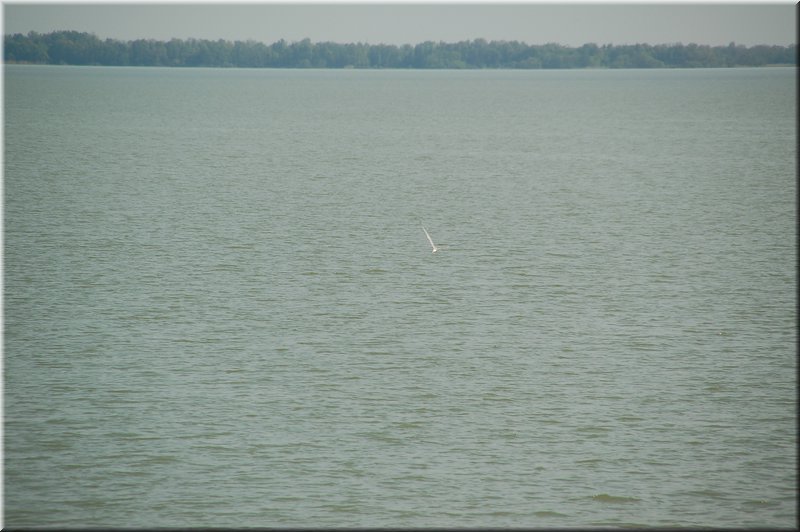DSC_9029.jpg