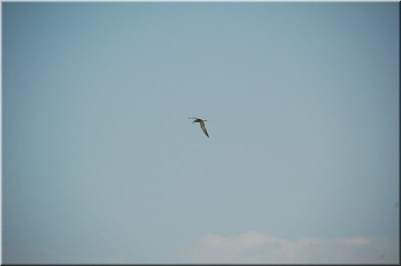 DSC_9032.JPG
