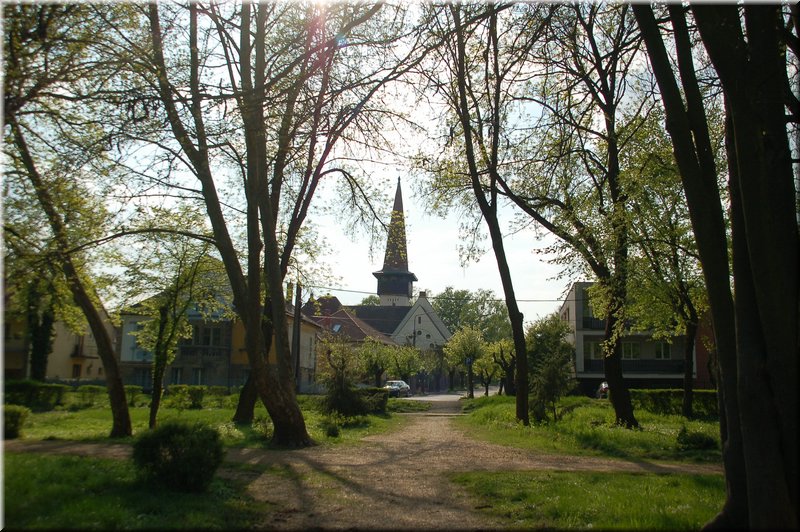 DSC_9041.jpg