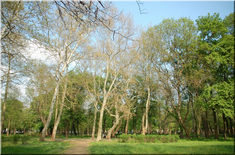 DSC_9044.jpg