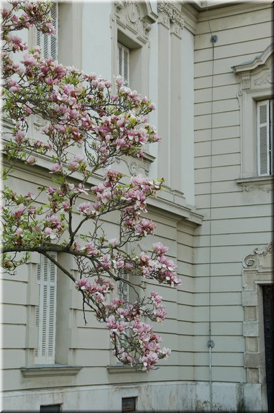 DSC_9066.jpg
