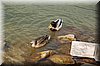 DSC_8961.JPG