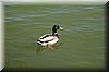 DSC_9007.JPG