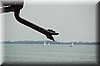 DSC_9021.JPG