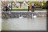 DSC_9033.jpg